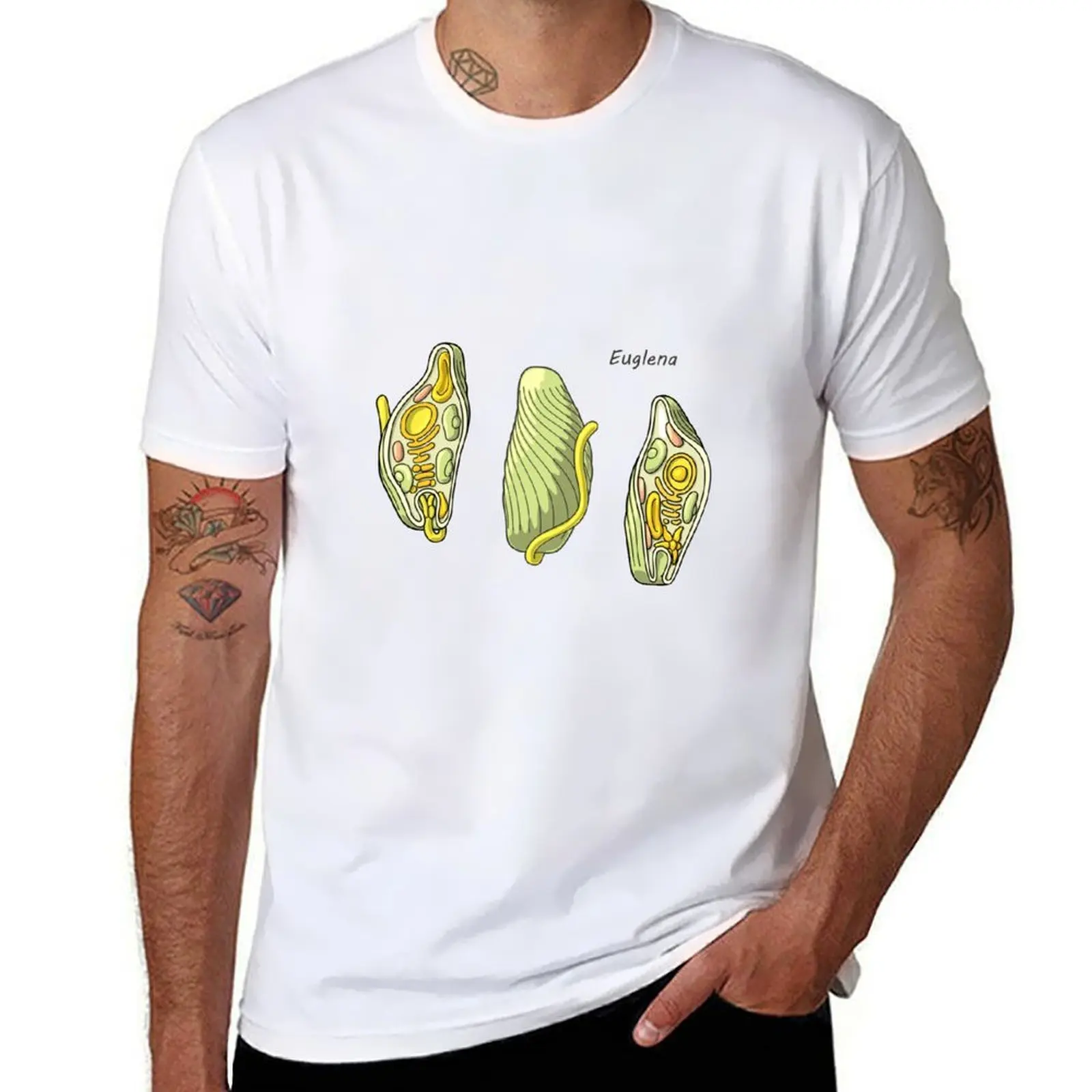 

slim t t fit man shirts Euglena Illustration luxury Protozoan brand T-Shirt high man quality t shirts luxury for man shirt
