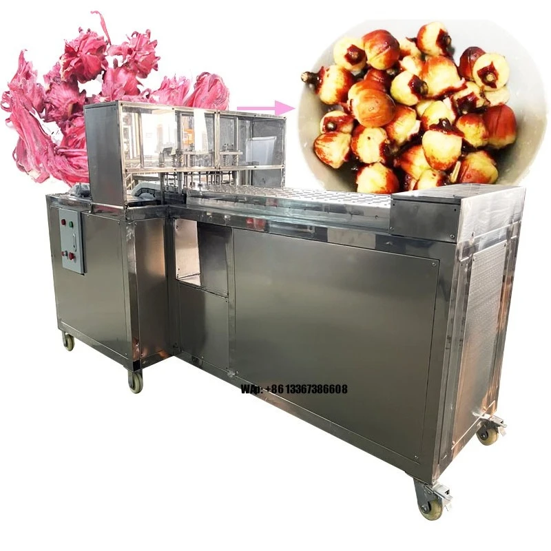 

Hot-selling olive seed kernel pitting removal machine