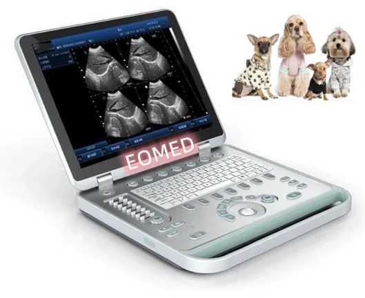 BW10vet Laptop veterinary ultrasound machine portable ultrasound scanner ARM system With Probe