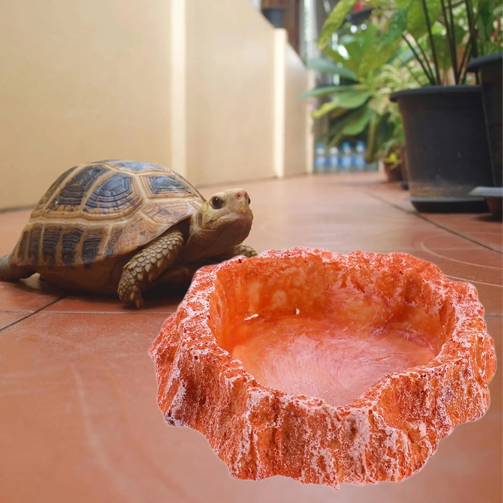 Terrarium Reptile Water Dish Feeding Bowl,Terrarium Habitat Decoration, Reptile Food Dish Reptile Feeder for Bearded Dragon