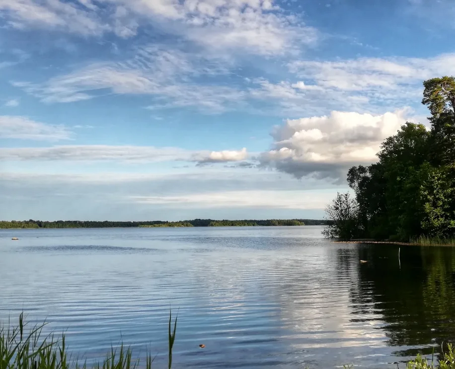 

8600E, масштаб 1:22, 2,4G, 4WD, радиоуправляемый автомобиль, 30 км/ч, высокоскоростной внедорожный пульт дистанционного управления, гоночный дрифт-автомобиль, игрушка в подарок