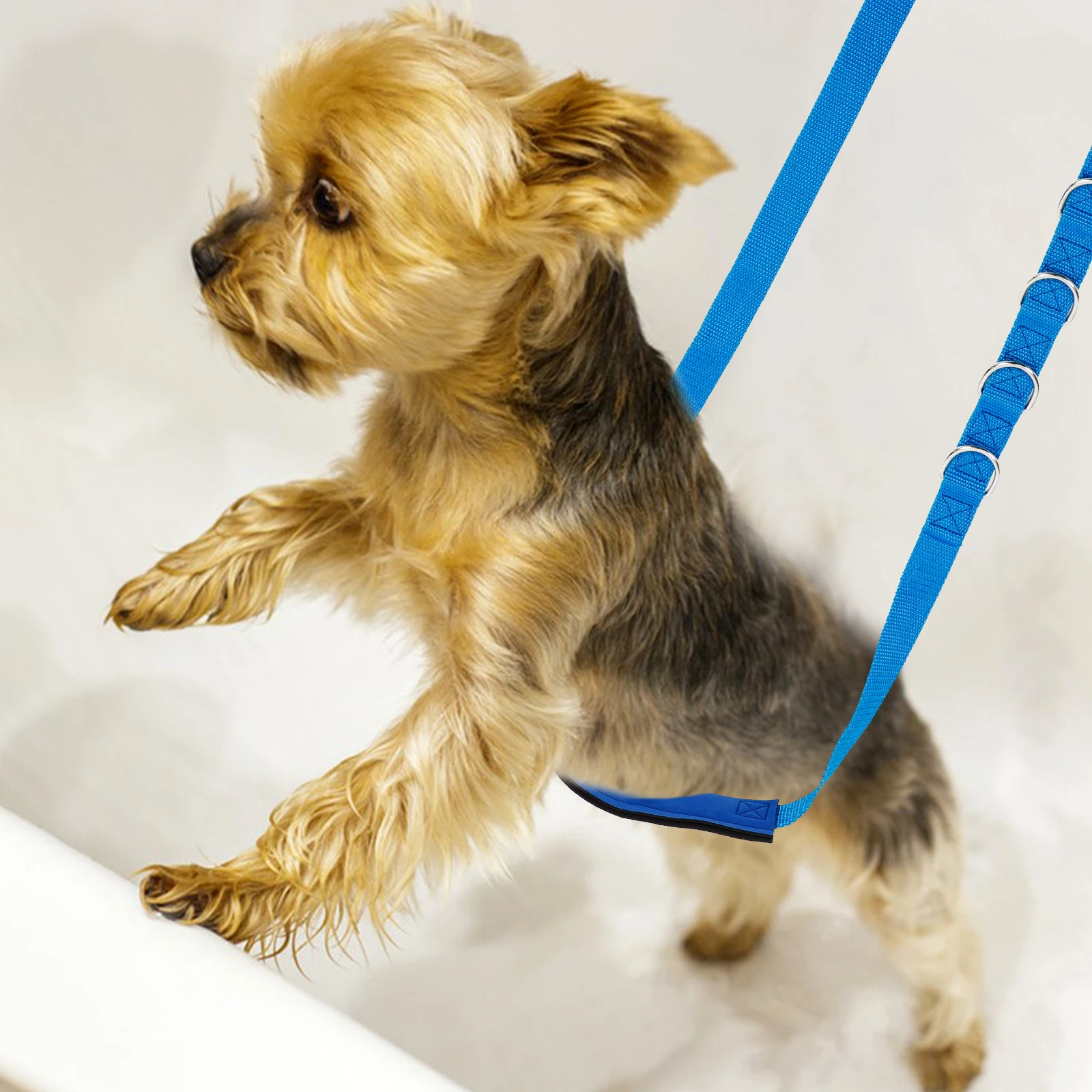 

3Pcs Pet Grooming Rope Set Adjustable Nylon Dog Bathing Cord for Safe Grooming and Bathing Use At Home Pet Showering Cord