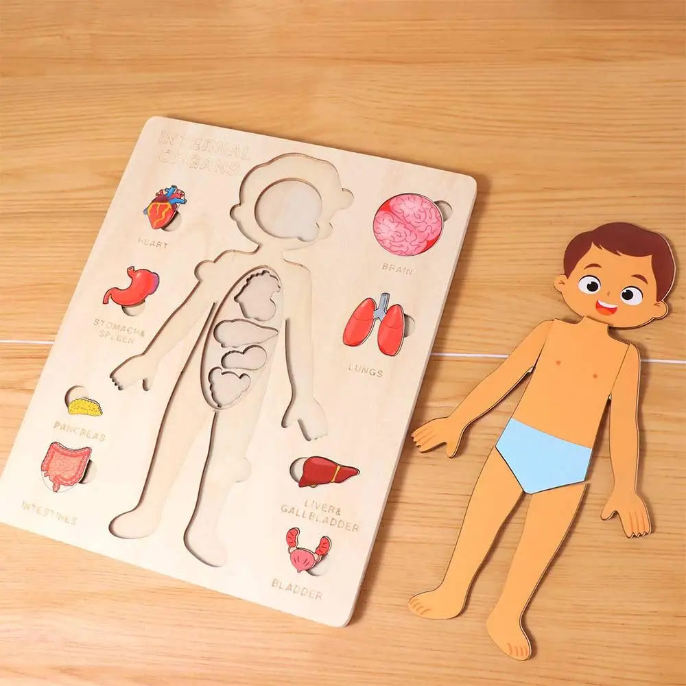 Puzzle in Legno Multistrato del Corpo Umano, Attività per Bambini e Bambine, Tavola delle Attività, Puzzle della Struttura del Corpo, Interazione Genitore-Figlio Montessori