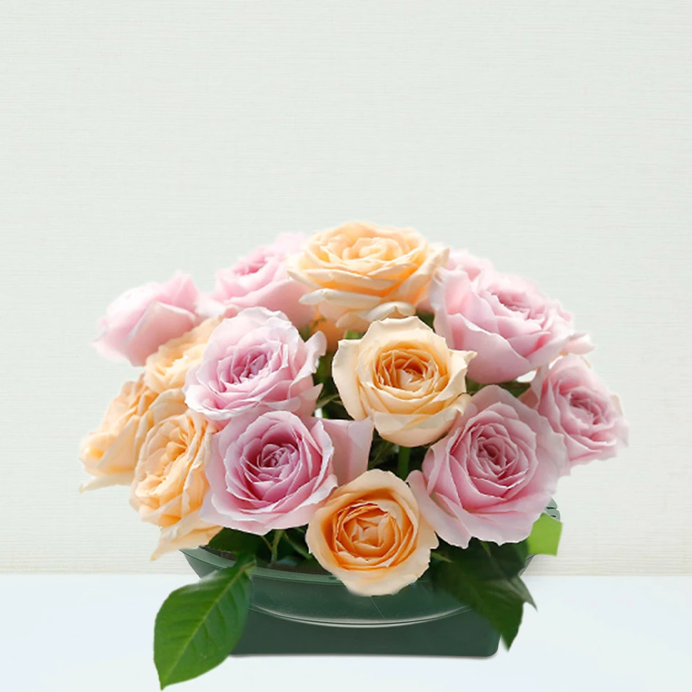 

2 Pcs Floral Foam Cage Flower Arrangement Mud Set for DIY Decor Weddings Christmas Bowl Containers Gardening Supplies