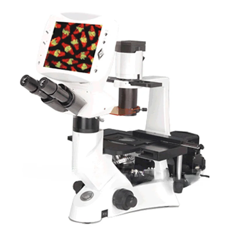 Inverted Flourescence LCD Microscope