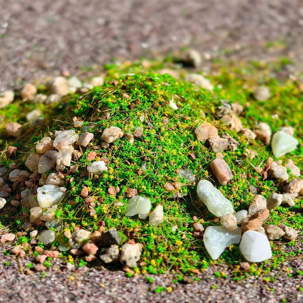 Miniature Grass Powder Weed Soil Mix Stone Model Artificial Terrain Materials DIY Railway Military Garden Scene Diorama 10G/30G