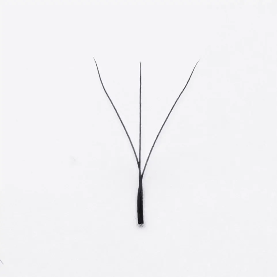 SUPMACIO 3D W Hình Mềm Mại Làn Mi Mở Rộng Cung Cấp 0.07 Cilios 3D Lông Mi Sỉ Trang Điểm Tự Nhiên Dễ Dàng Quạt Dropshipping Brasil