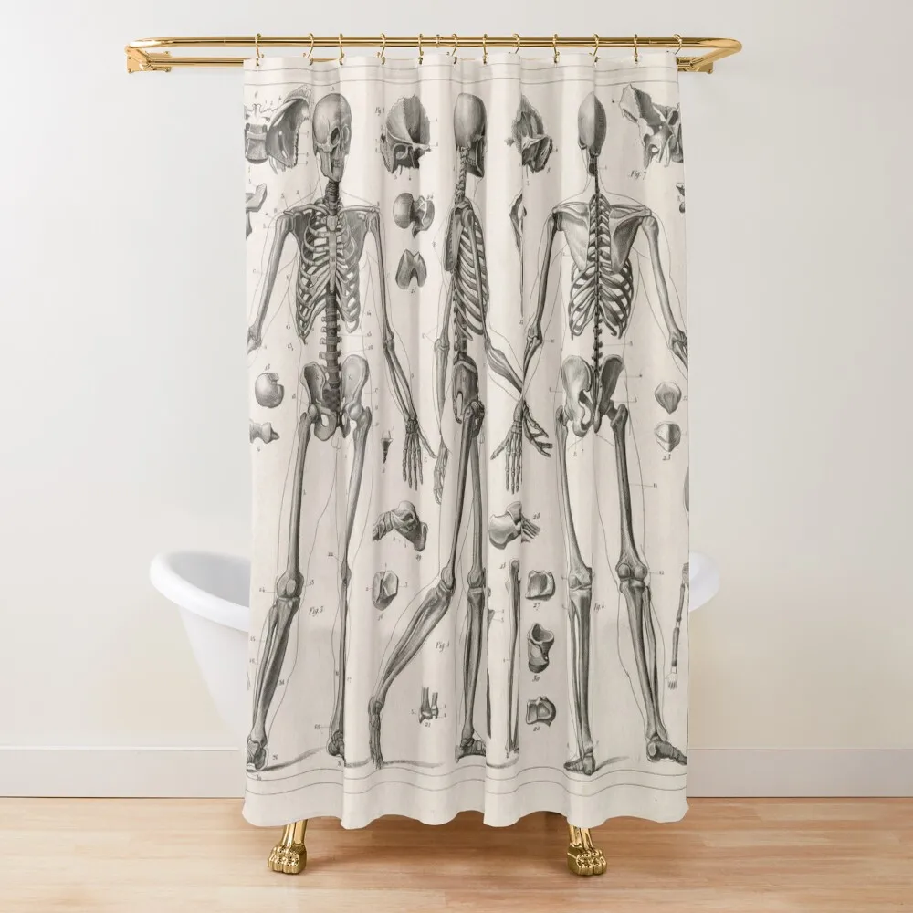 

1857 Diagram Anatomy including Skeletons Shower Curtain Cover Toilet Accessories Bathroom Shower Waterproof Curtain