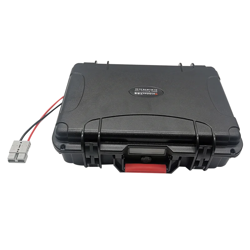 BMS付きリチウム電池,LiFePo4,12V, 60Ah, 80Ah, 100Ah, 120Ah, 150Ah, 200Ah,漁船,車両電源,10A充電器