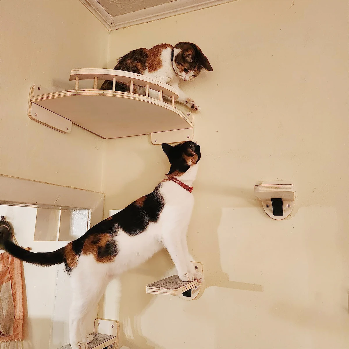 

Cat Corner Shelf with 3 Steps Set Wall Mounted Cat Bed Perches Hammock for Sleeping Climbing Scratching Pet Wooden Furniture