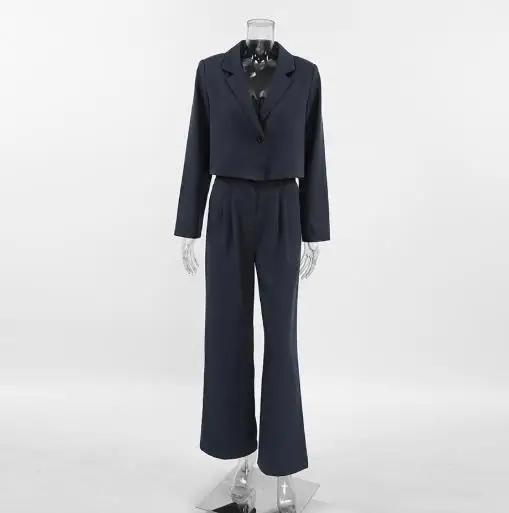 Two Piece Set Women Outfit 2025 Spring Autumn New Notched Collar Long Sleeved Blazer & High Waist Elastic Band Casual Pants Set