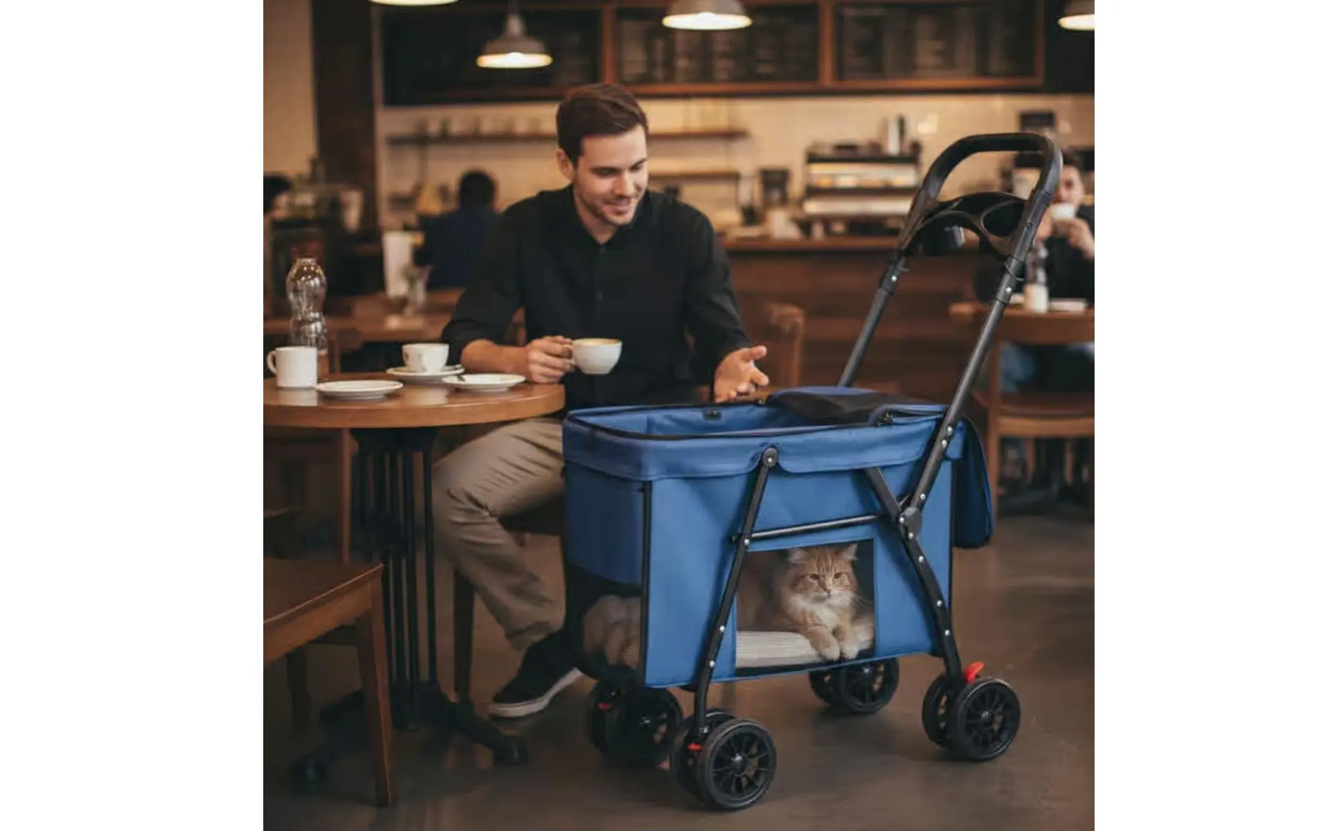 Dog Stroller Collapsible Feline Stroller Lightweight Pet Stroller Easy Accessible Creature Gear Rear Brakes for Walks, Outdoor