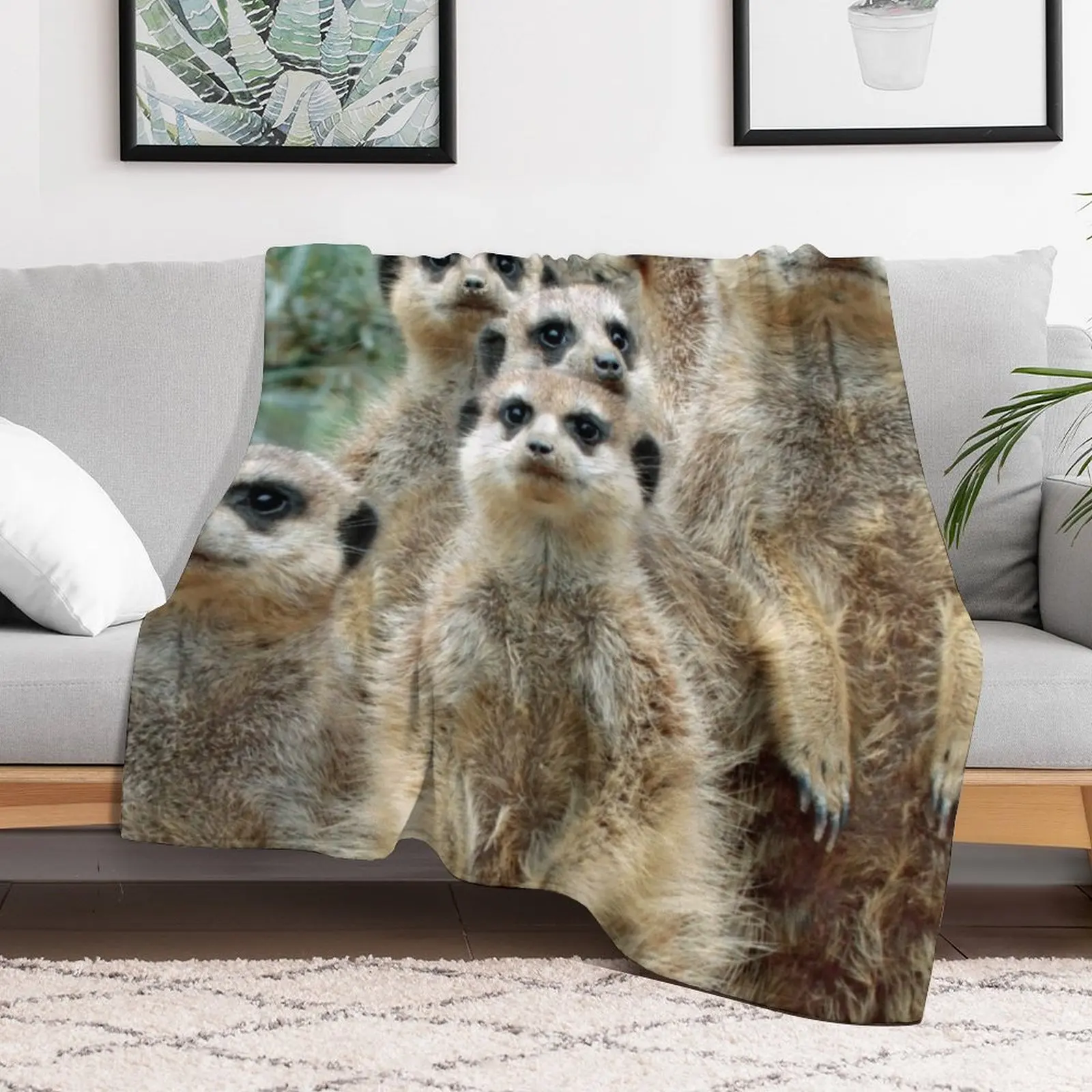 Meerkat 012 Throw Blanket Tourist Summer Beddings Vintage Blankets