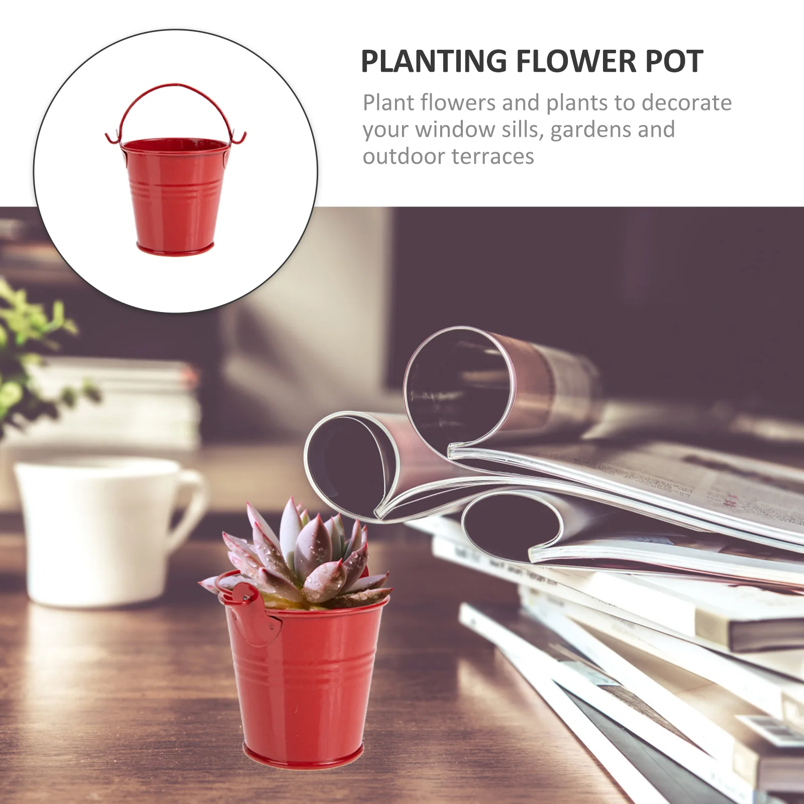 5 Pcs Mini Tin Bucket Flower Beds Pots for Plants Iron Flowerpot Holder Container Planters Succulent