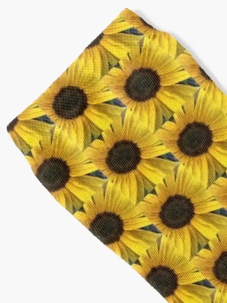 Sunflower Close Up Socks crazy floor colored funny gift Socks Female Men's