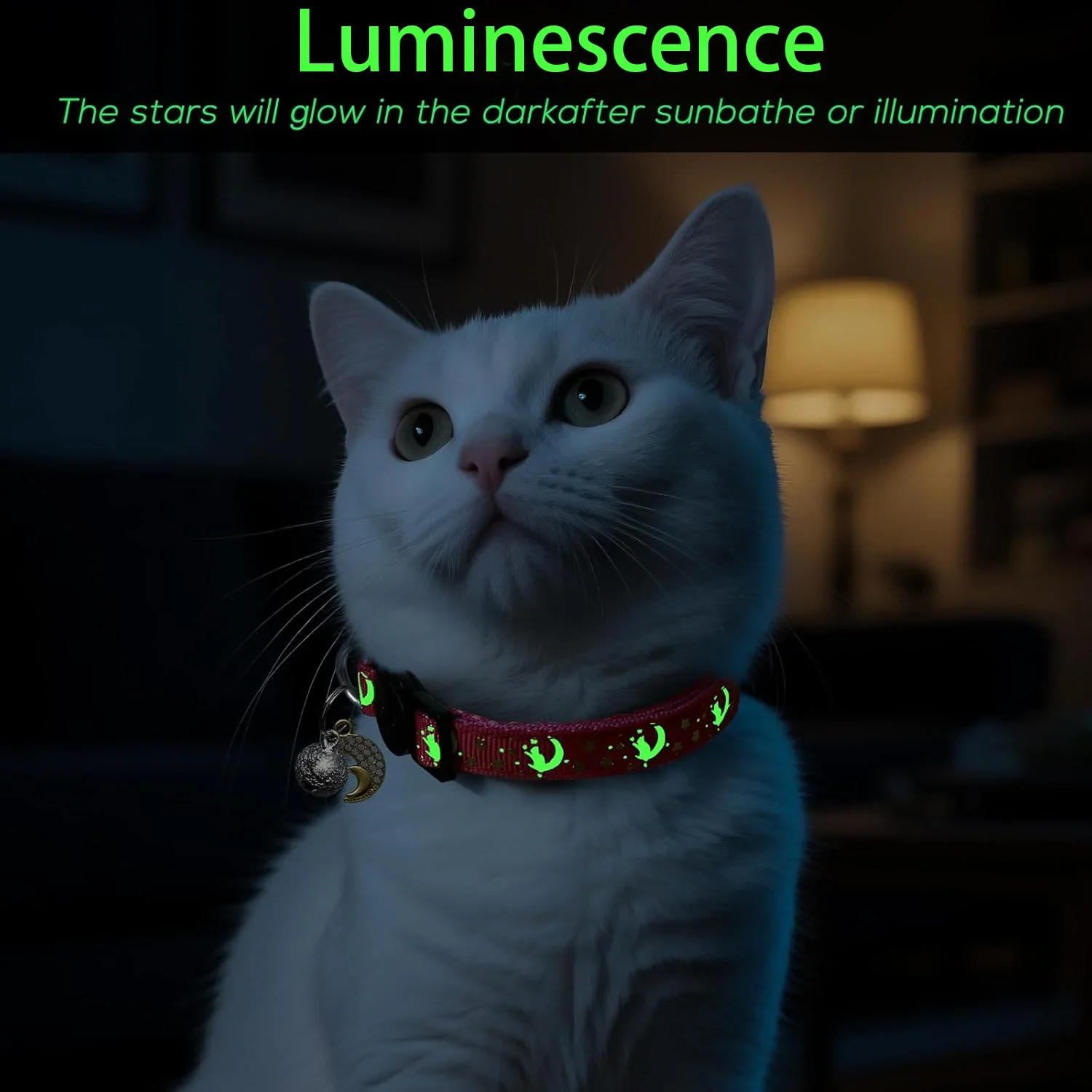 Thumbnail 4 - #63 Best Puppy Collars to Buy In 2026