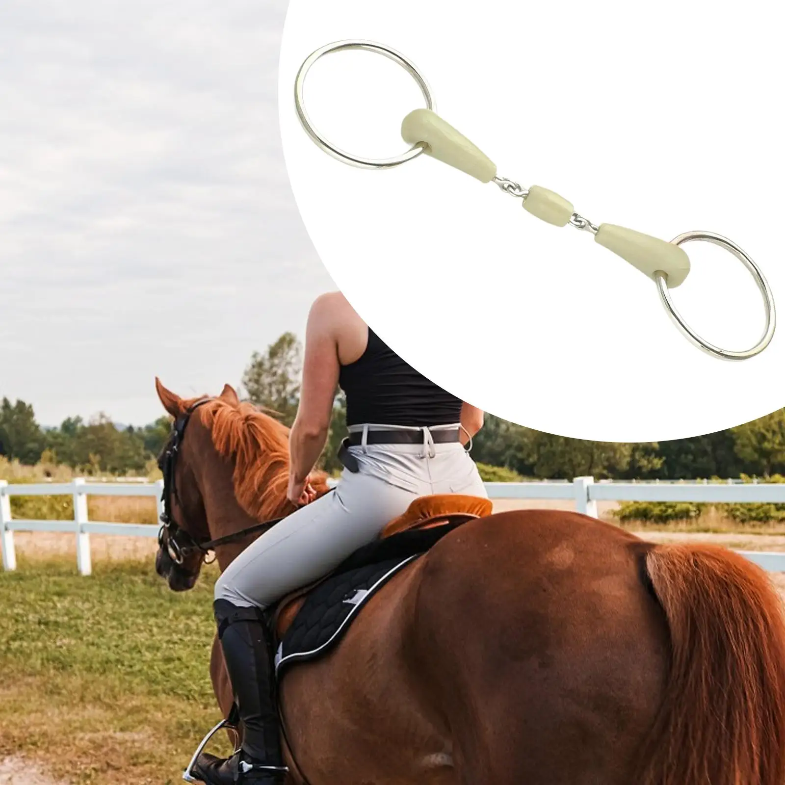 

Horse Bit Horse Bit Mouth Horse Training Supplies Equestrian Accessories Equipment for Horse Riding Gifts Performance Outdoor
