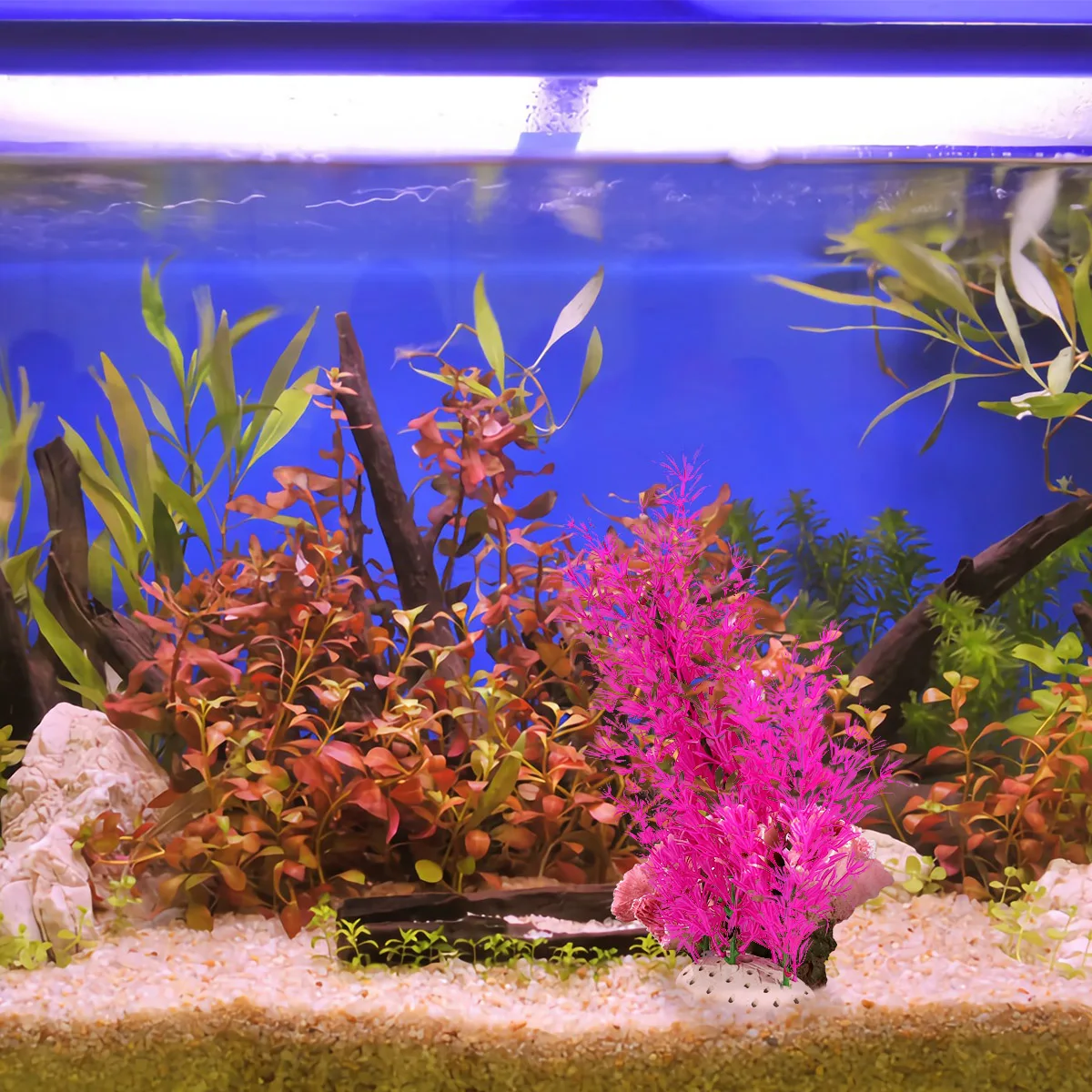 

Artificial Aquatic Plants Decorative Plastic Aquarium Grass Simulation Water Grass for Fish Tank Safe Lifelike Pet Supplies