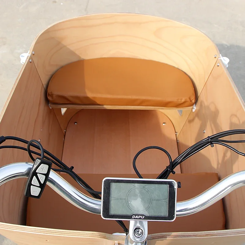 3 Wheel Electric Bicycle For Sale Retro E-cargo Bike Factory Sale Directly For Carrying Kids Or Pets