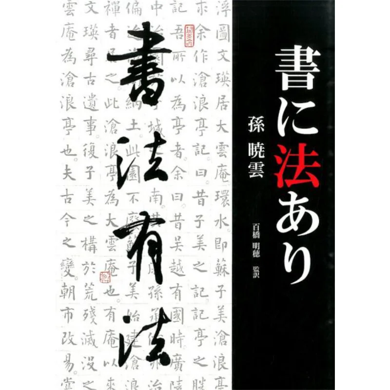

There Is Law In The Book Sun Xiaoyun Central Public Opinion On Fine Arts Publishing 9784805507414 Book
