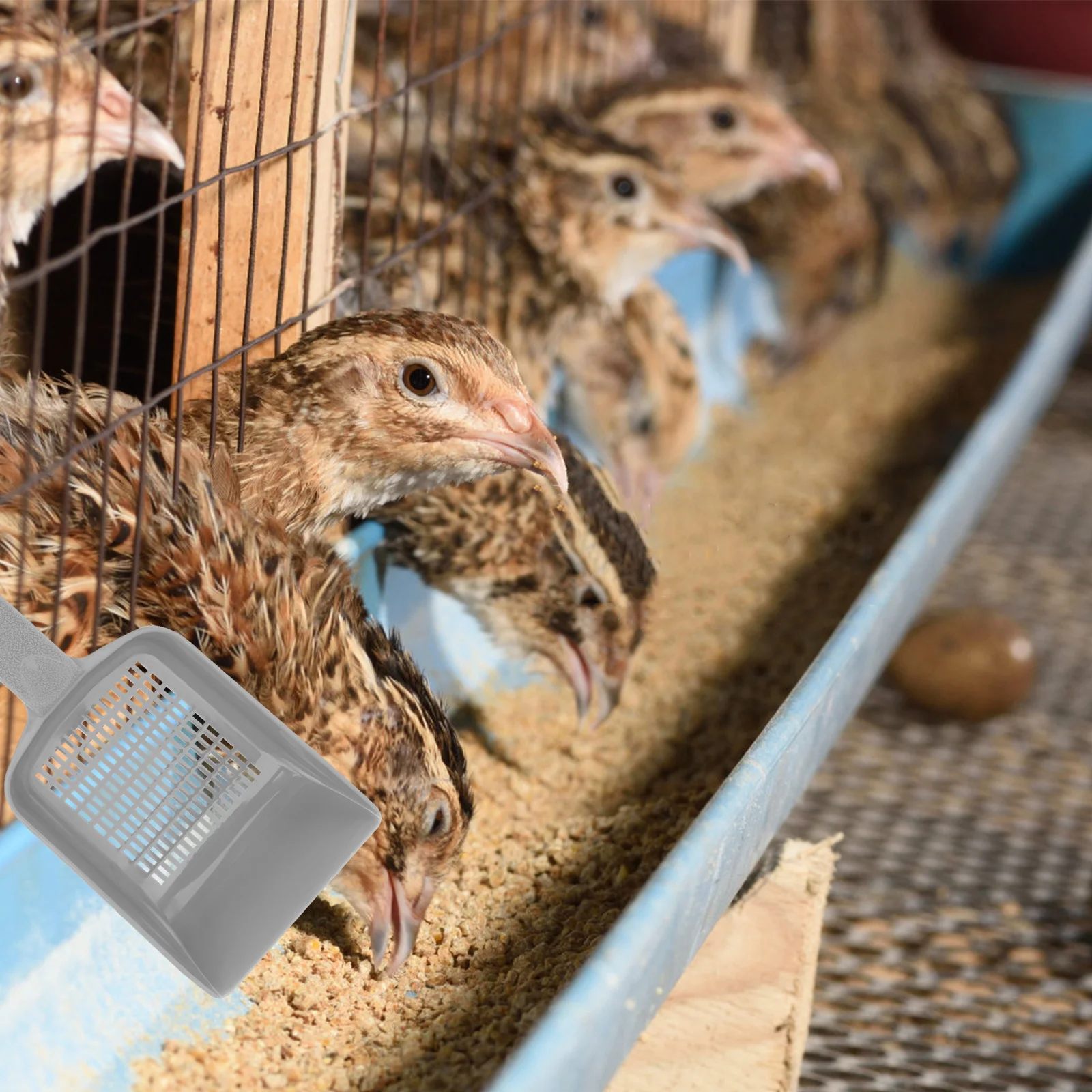 

2pcs Reptile Sand Shovels Specially Designed For Cleaning Droppings Durable Mesh Shifter Excrement Cleaner Tool Lizard Snake Pet