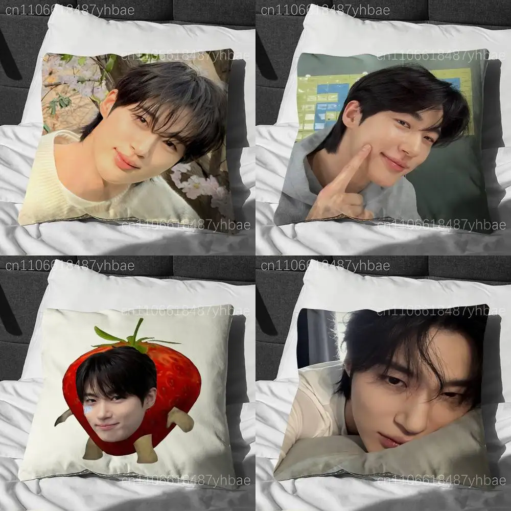 

Korea B-Byeon Woo Seok Cushion Cover Pillow Cover Decor Pillowcase Printed Cushion Case For Couch
