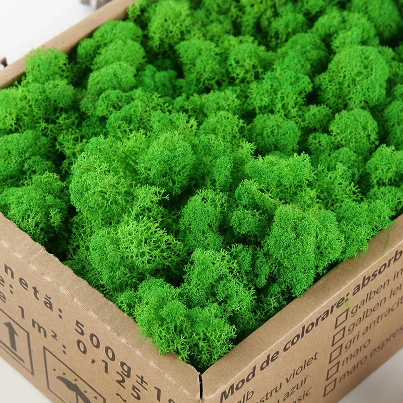 500G Simulation Plants Eternal Life Moss Garden Home Decor Wall DIY Flower Material Mini Garden Micro Landscape Fake Moss