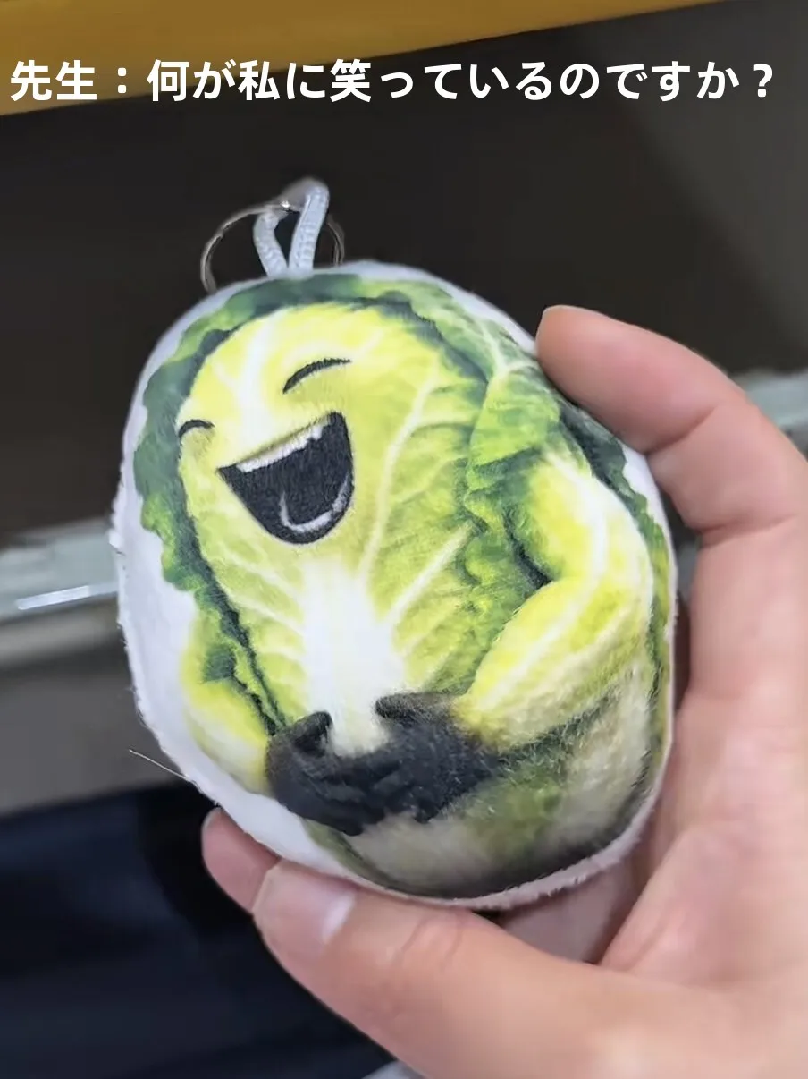 ornamento-criativo-em-forma-de-repolho-com-som-brinquedo-antiestresse-para-mochilas-de-estudantes-chaveiro-para-criancas-e-adultos