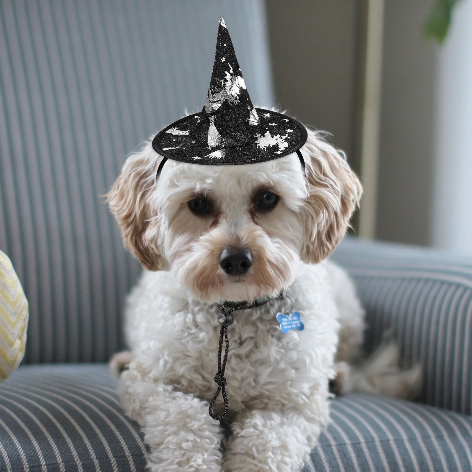 

2Pcs Halloween Pet Party Hats Comfortable Witch Hat Decorative Caps Adjustable for Dogs Cats Party Costume Cat Hats