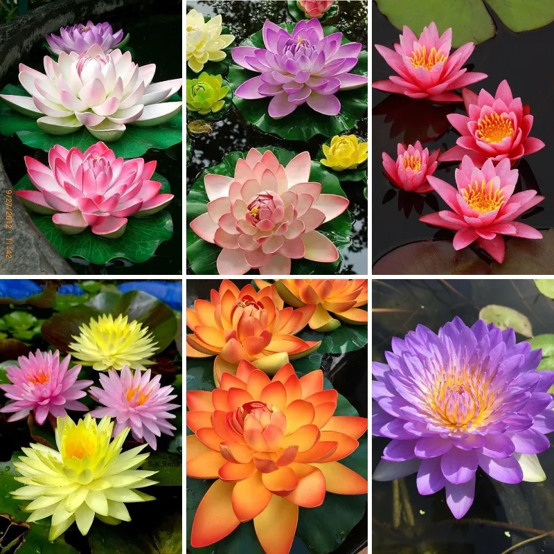 5D Diamond Painting Kits for Adults Beginner,DIY Water Lily Flowers and Leaves, Full Drill Diamonds,Plants Gem Art Kits