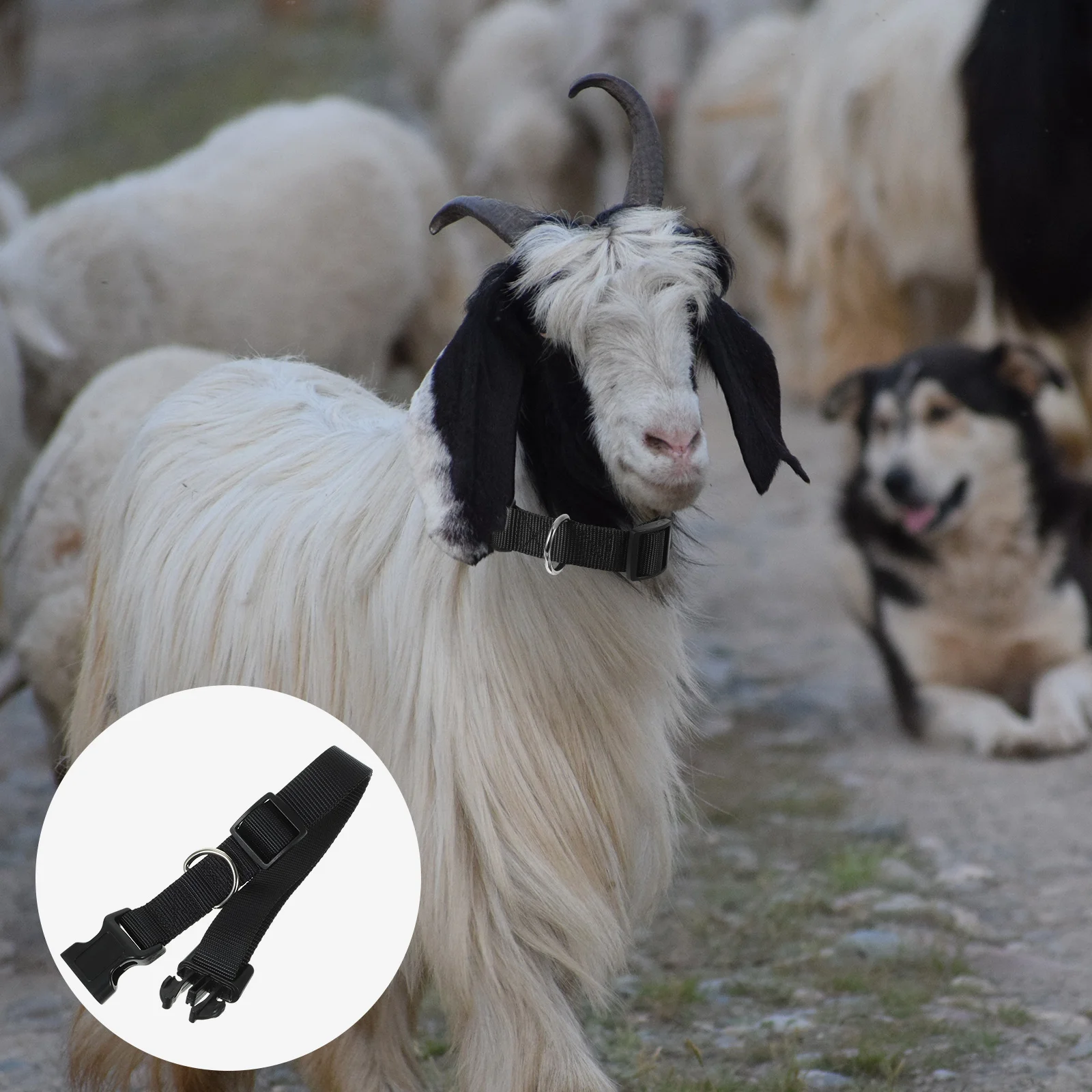 

10pcs Adjustable Sheep Collars Polyester Goat Cow Livestock Collars 25x40 55cm Black Farm Animal Accessories High