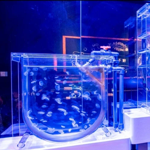 

Acrylic Jellyfish Tank Organic Glass Fish Tank Live Jellyfish Display Ornamental Aquarium Breed Jellyfish Tank