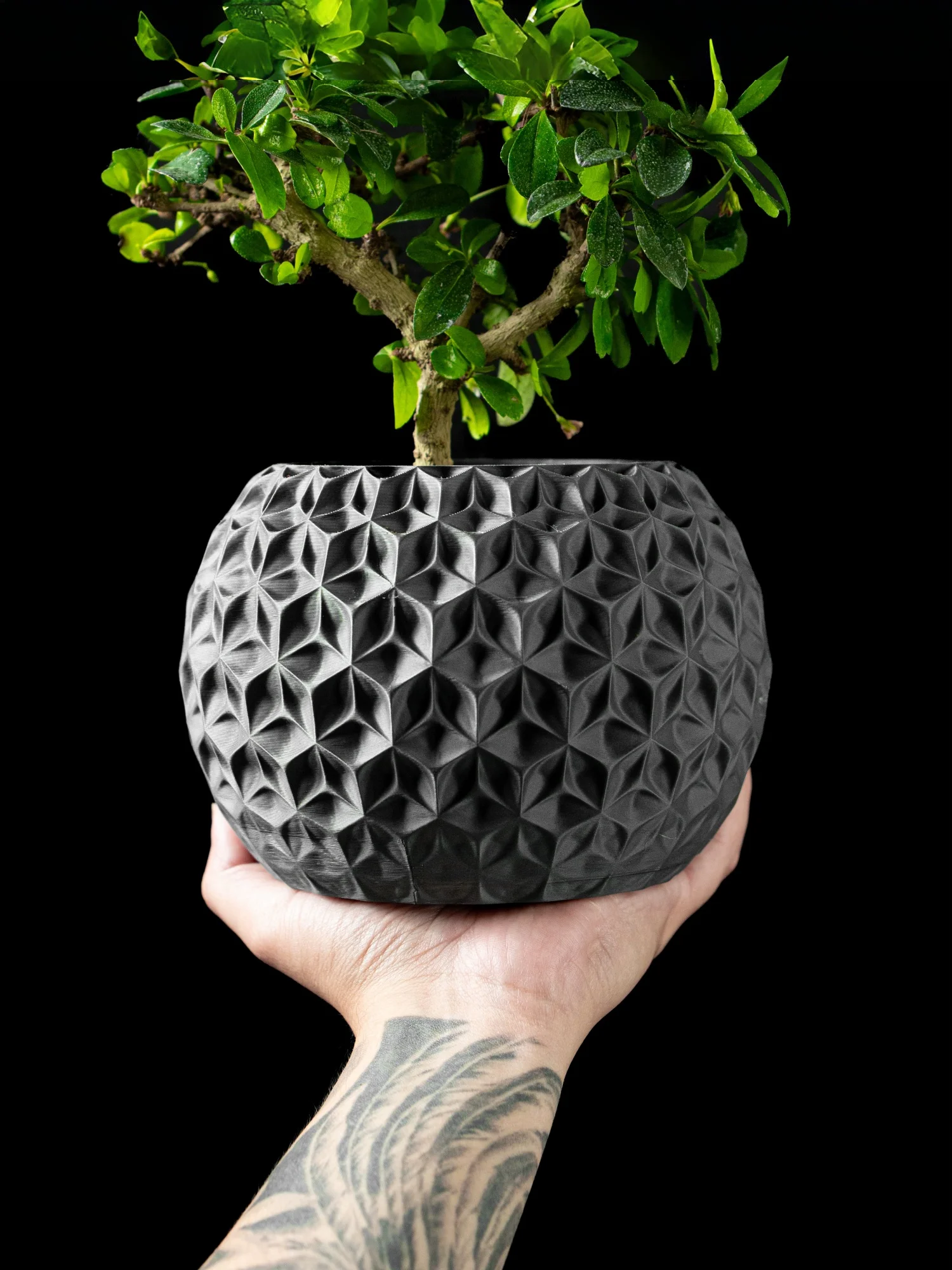 

Modern Minimalist 3D Printed Plant Pot – Biodegradable Flower Planter for Home Decor, Eco-Friendly Sustainable Gift (Trihex)