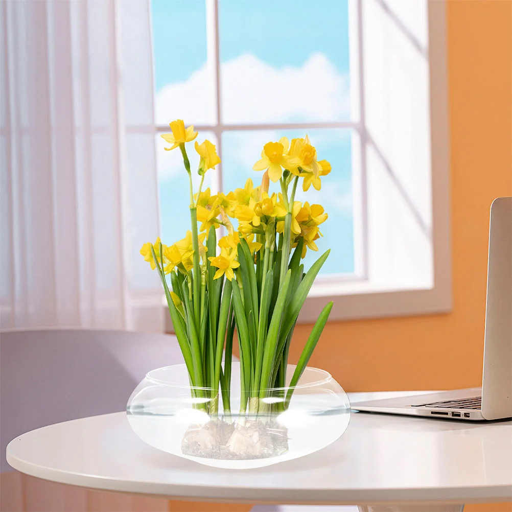 Plant Hydroponic Flower Pot Pots for Plants Small Fish Tank Transparent Glass Air Terrarium