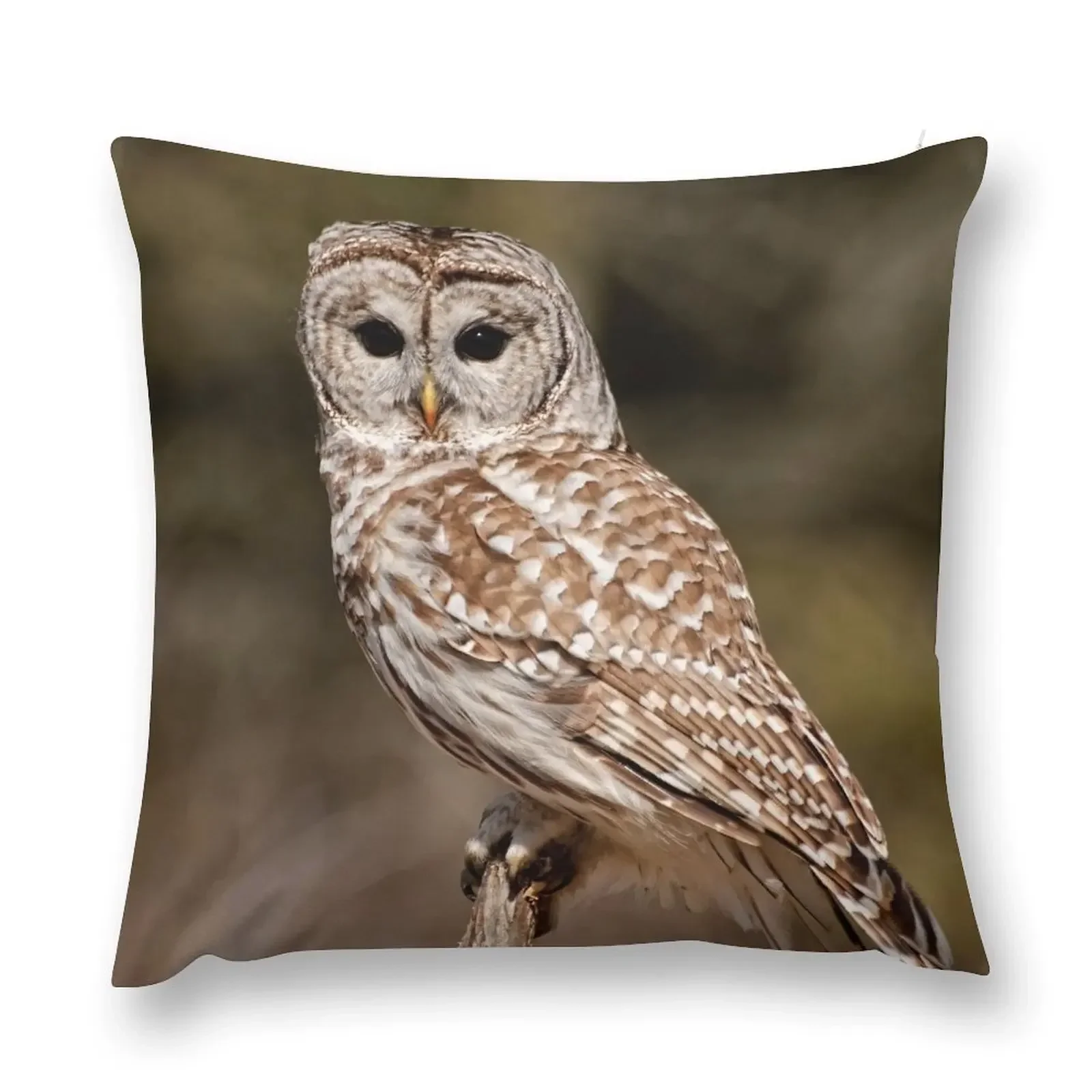 

Barred Owl - Brighton, Ontario Throw Pillow New year Christmas Pillows Cushions For Decorative Sofa pillow