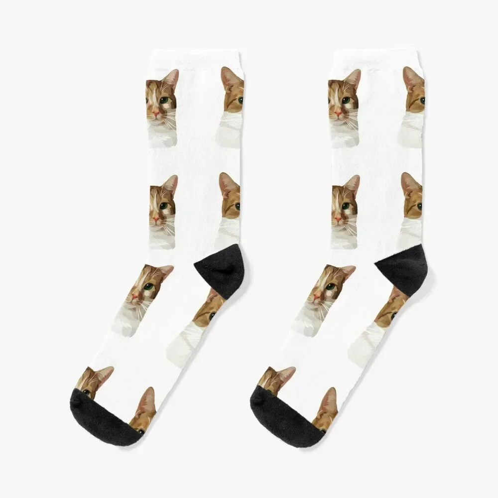 

BeautyntheBean - Bean the meowing cat Socks christmass gift sports stockings Socks For Man Women's