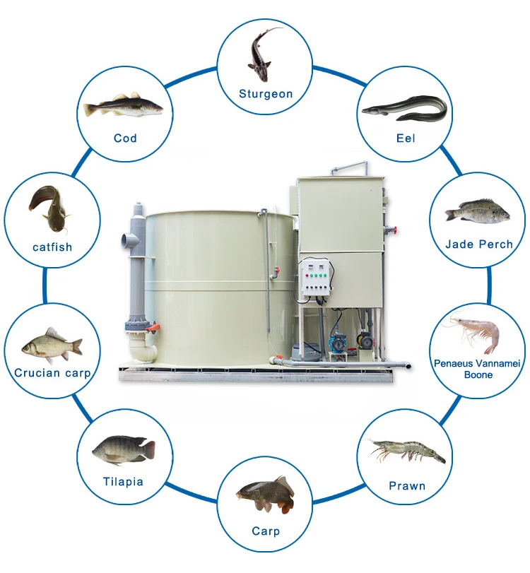 QihangRAS Hydroponics Aquaponics Integrated System 5M3 Capacity Recycling Indoor Mini Ras Fish Farm PP Material 22-30C Easy Pump