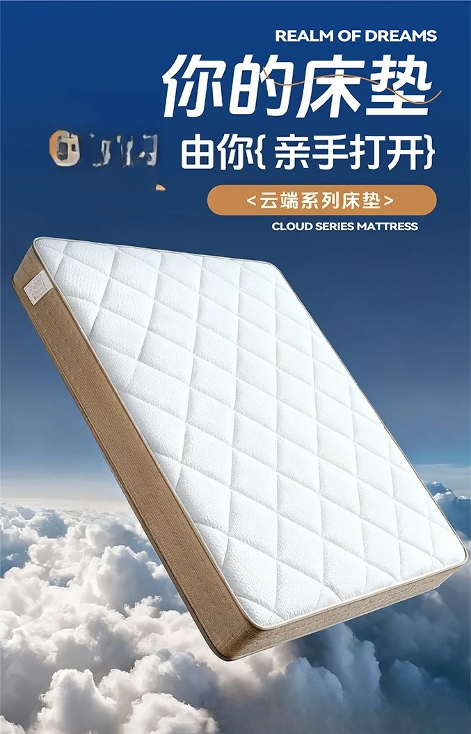 مرتبة لفة ضغط الفراغ زنبركية مستقلة لا تشوه #4