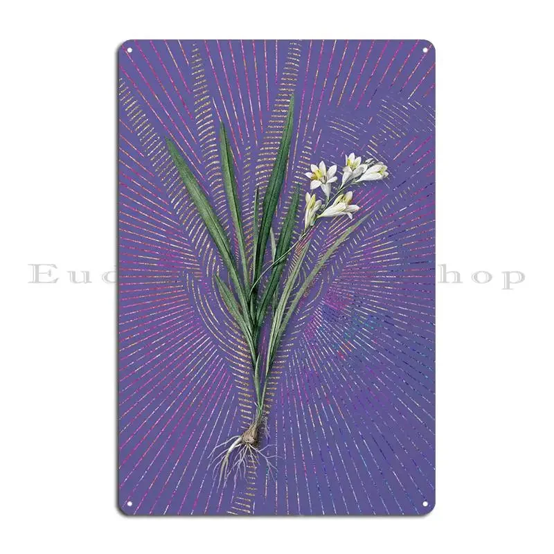 Gladiolus Xanthospilus Metal Plaque Party Club Party Wall Decor Garage Designing Tin Sign Poster