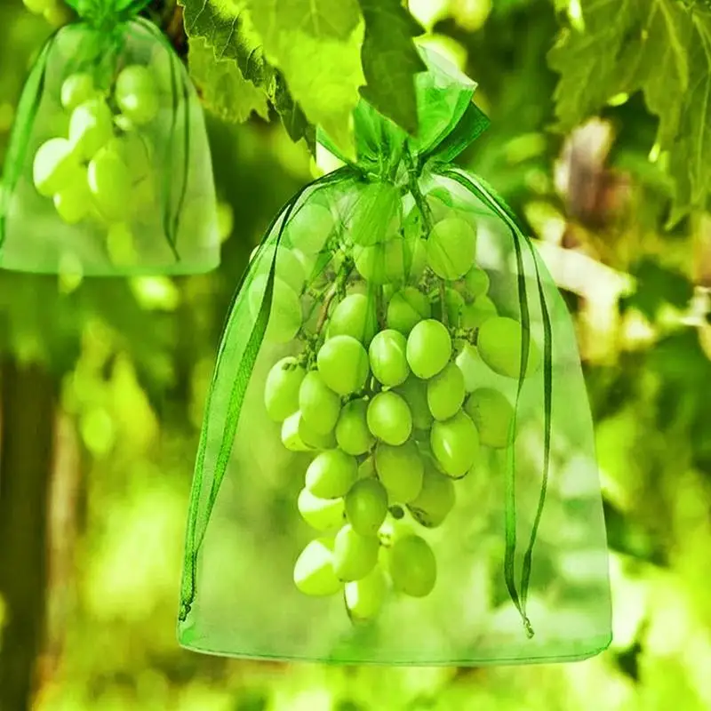 100pcs Fruit Protection Bags With Drawstring Netting Barrier Bags Vegetable Grow Bags Portable Mesh Bag Fruit Fruit Net Cover