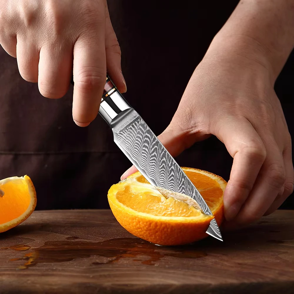 

Paring Knife 3.5 inch Fruit Knife,Small Kitchen Knives,VG10 Damascus Super Steel 67-Layers, Full Tang Wood&Resin Handle