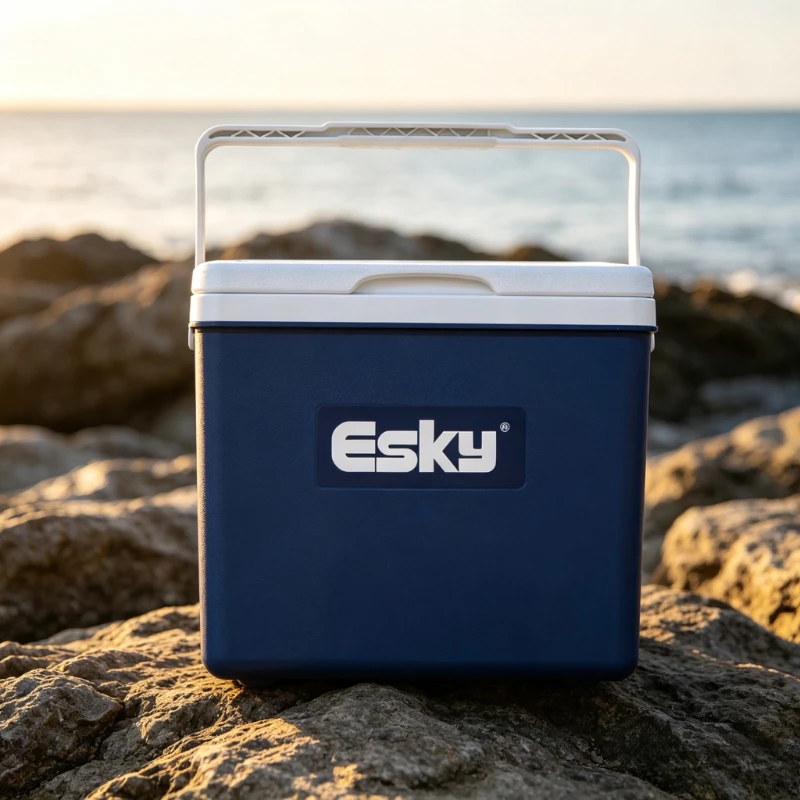 10L Insulated Cooler Box Portable Food Drink Storage for Car Camping Picnic Fishing Market Stall Outdoor Travel Use 쿨러 박스