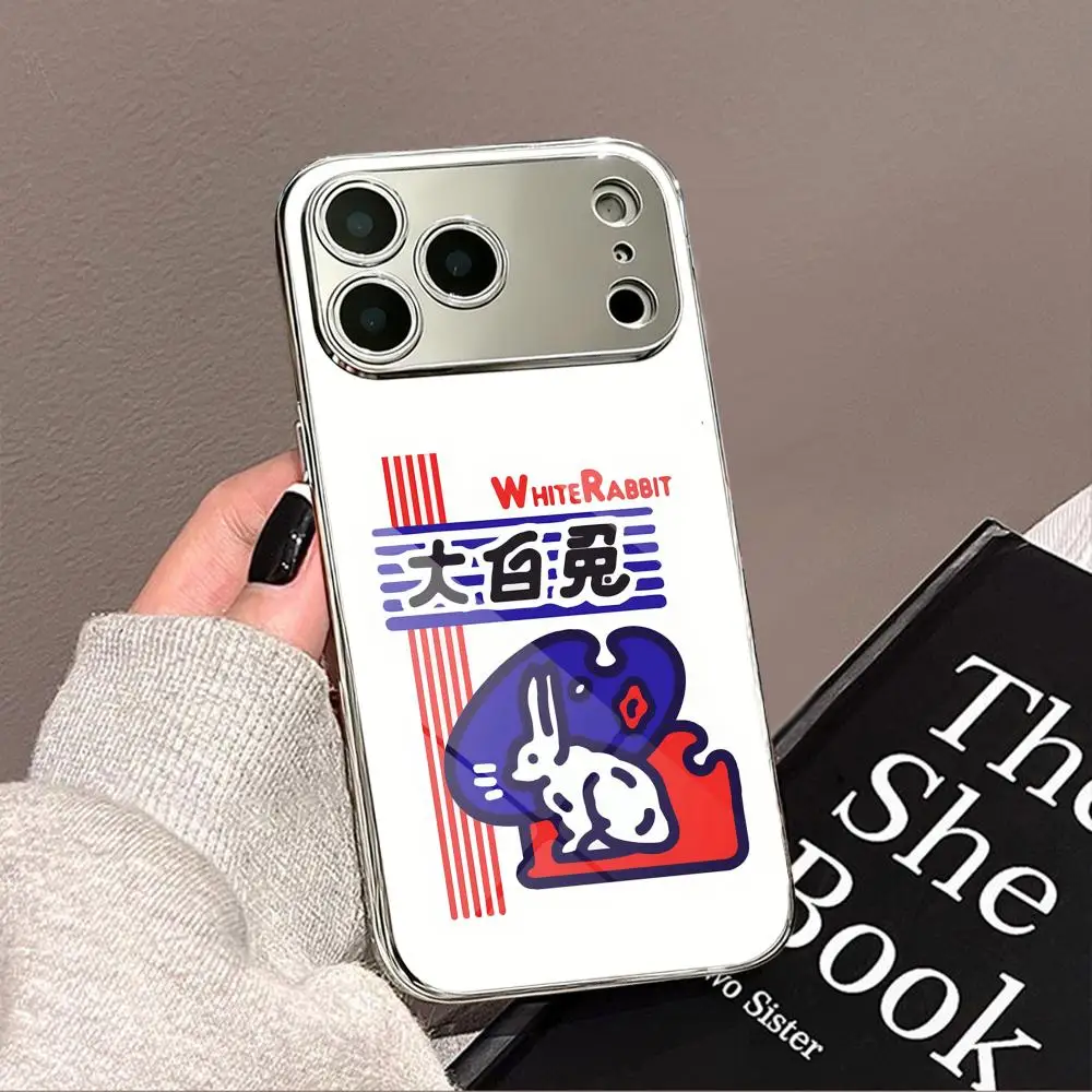 

Cute White Rabbit Phone Case For iPhone 17 16 15 14 13 12 Pro Max Plus Electroplated Metal Shockproof Bumper Case Glass Back