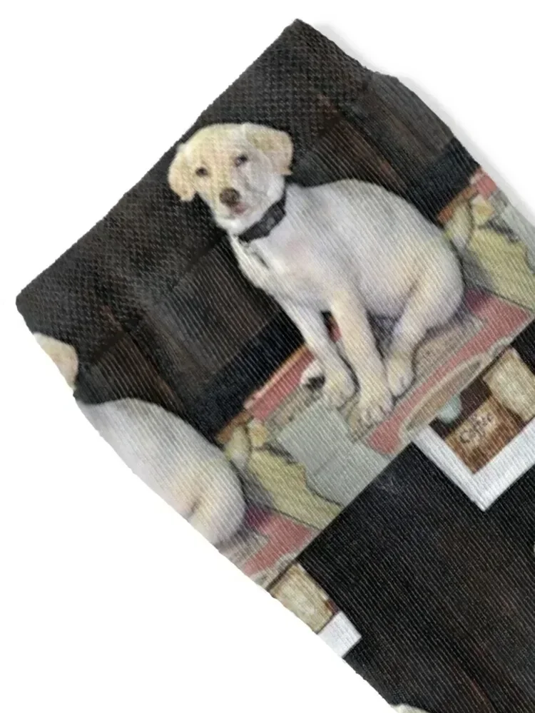 White Labrador Socks retro new in's sports stockings Socks For Women Men's