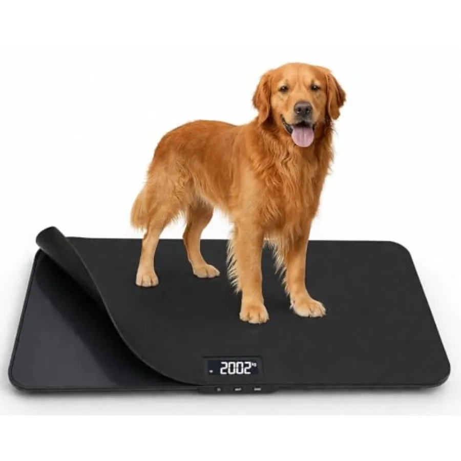 Veterinary dog scale for pet clinics: tempered glass platform, black, 400 lb capacity, anti-slip mat, built-in display, 32 x 16