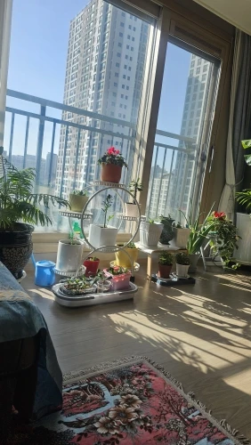 Flower rack flower pot rack living room floor-to-ceiling movable with wheels dill balcony flower pot rack, multi-layer household photo review