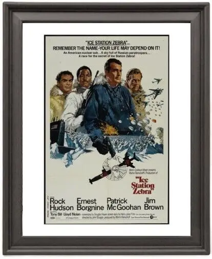 

Framed Poster Ice Station Zebra Poster Photo Paper Print Picture Frame 16x12 inch