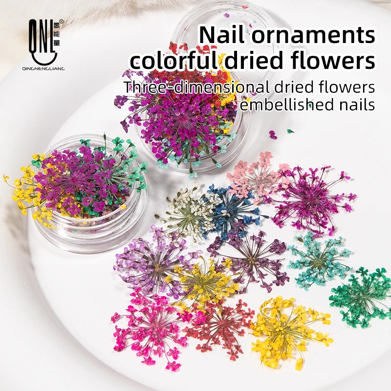 1 Box 12pc Dried Nail Flowers Mixed Color Lace 3D Dried Nail Flowers Nail Art Accessories DIY Manicure Dry Flower Nail Designs