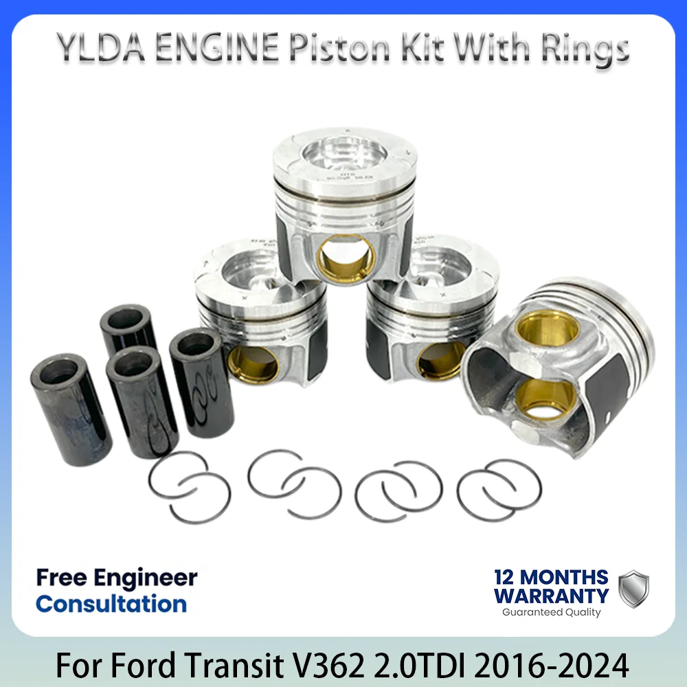 Kit de pistones de motor con anillos para Ford 2.0T 2.0 L T L4 EcoBlue YMF6 Transit Custom Tourneo Ranger Mondeo 2016-2024 GK2Q6K100BA