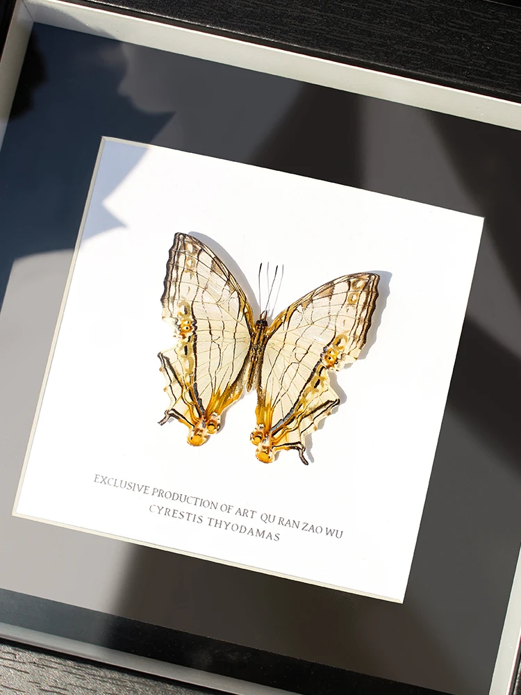 

Декоративная настольная картина ручной работы: уникальный подарок с дизайном Net Tead для домашнего декора